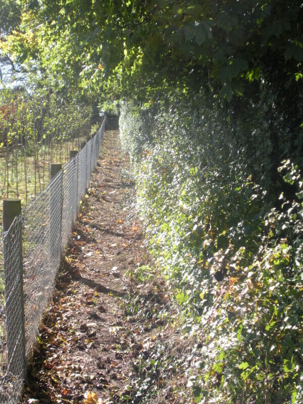 Native hedging